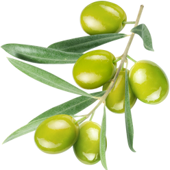 Napoleon Triple Stuffed Olives