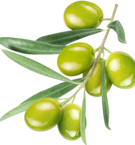 Napoleon Triple Stuffed Olives