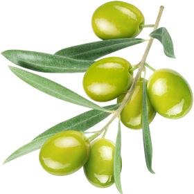 Napoleon Triple Stuffed Olives