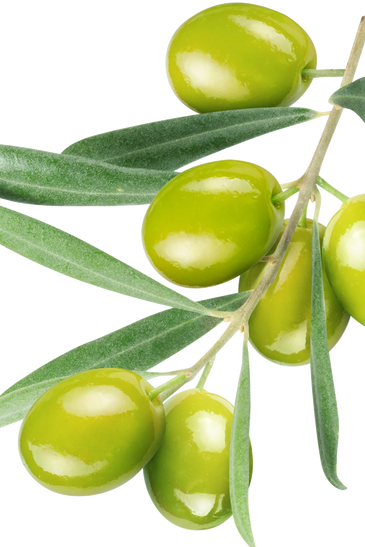 Napoleon Triple Stuffed Olives