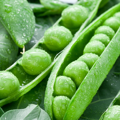 Peas Freeze Dried Dehydrated Survival Food