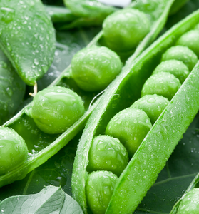 Peas Freeze Dried Dehydrated Survival Food