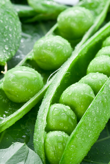 Peas Freeze Dried Dehydrated Survival Food