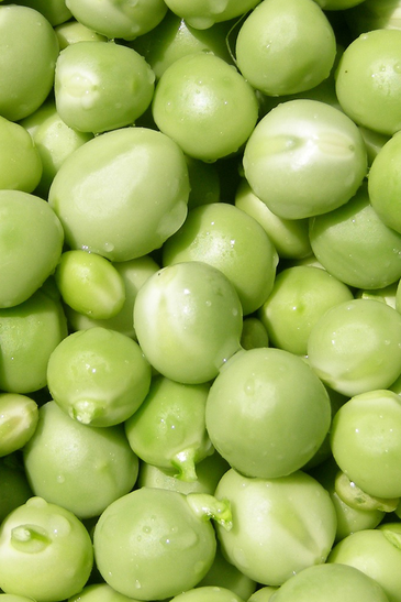 Peas Freeze Dried Dehydrated Survival Food