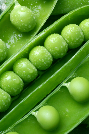 Peas Freeze Dried Dehydrated Survival Food